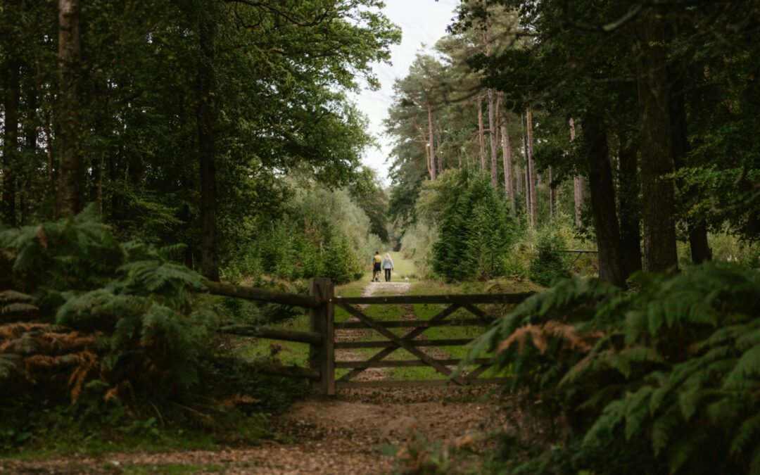 Guide: Everything you need to know about annuities when creating a retirement income