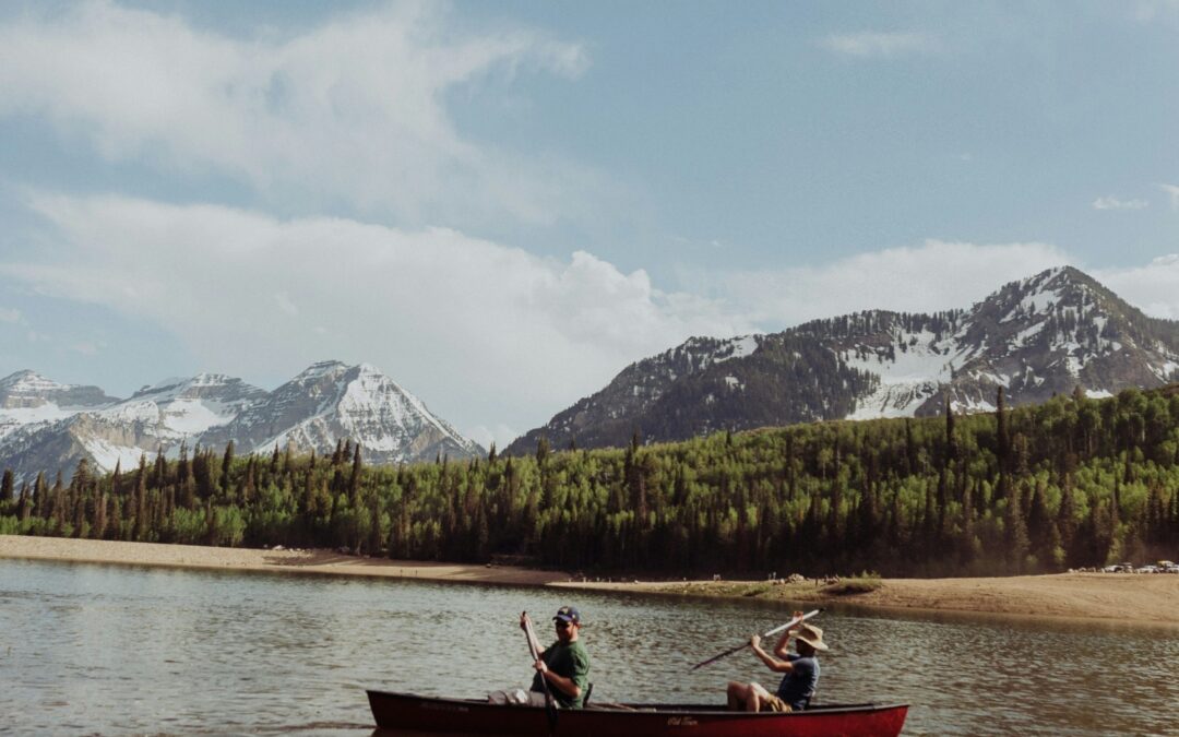 Guide: Your retirement choices: How to generate an income in later life